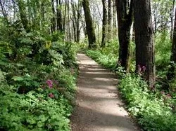 Forest Park