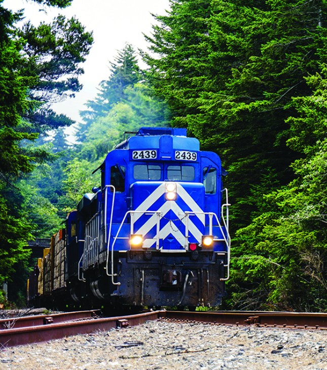 A blue engineer car pulls a Class 1 rail train through big fir trees.